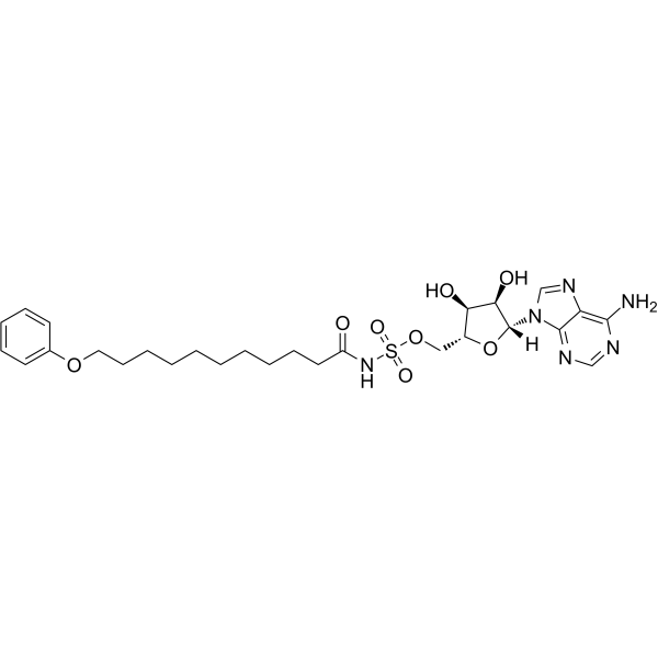 FAAL-IN-1 1965250-07-0